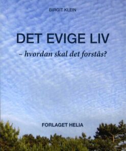 Det evige liv - hvordan skal det forstås (Bog)