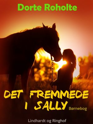 Det fremmede i Sally (E-bog)