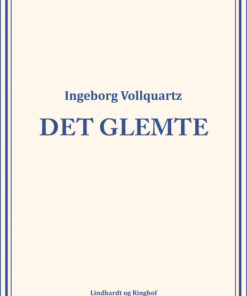 Det glemte (Bog)