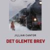 Det glemte brev (storskrift) (Bog)