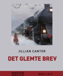 Det glemte brev (storskrift) (Bog)