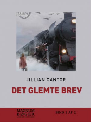 Det glemte brev (storskrift) (Bog)