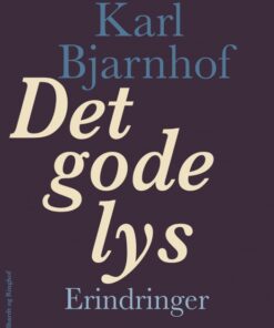 Det gode lys (Bog)