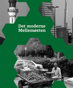 Det moderne Mellemøsten (Bog)