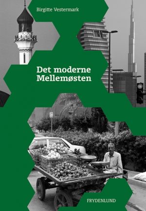 Det moderne Mellemøsten (Bog)