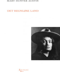 Det regnløse land (E-bog)