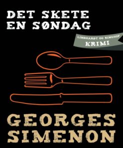 Det skete en søndag (E-bog)