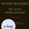 Det sociale arbejdes genealogi (E-bog)