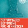 Det sociales betydning for mennesker med sindslidelse (E-bog)