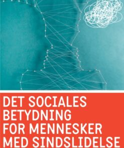 Det sociales betydning for mennesker med sindslidelse (E-bog)