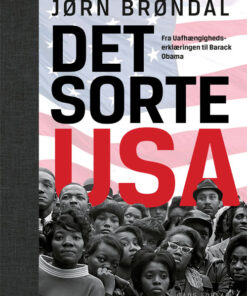 Det sorte USA (Bog)