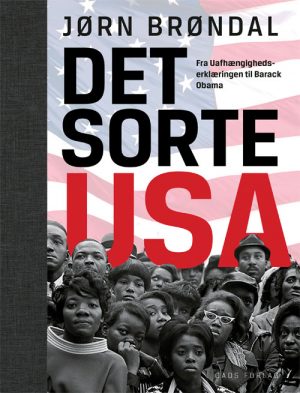 Det sorte USA (Bog)