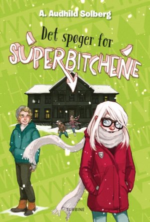 Det spøger for Superbitchene (Bog)