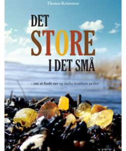Det store i det små (Bog)