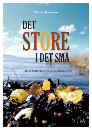 Det store i det små (Bog)