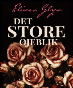 Det store øjeblik (Bog)
