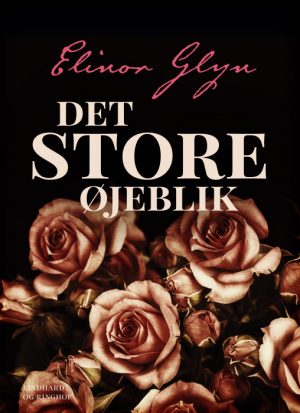 Det store øjeblik (Bog)