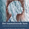 Det traumatiserede barn (E-bog)