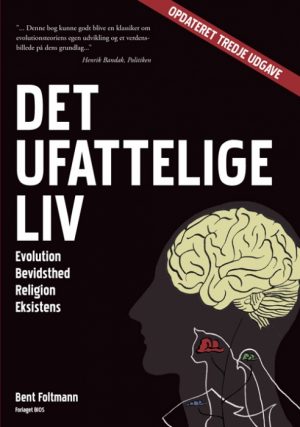 Det ufattelige liv (E-bog)