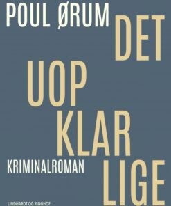 Det uopklarlige (E-bog)