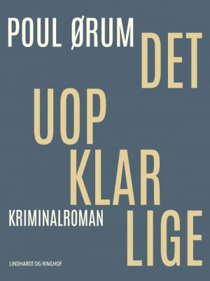 Det uopklarlige (E-bog)