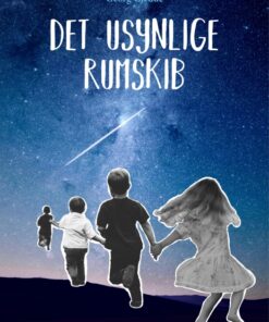 Det usynlige rumskib (E-bog)
