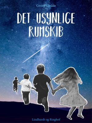 Det usynlige rumskib (E-bog)