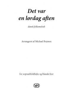 Det var en lørdag aften (E-bog)