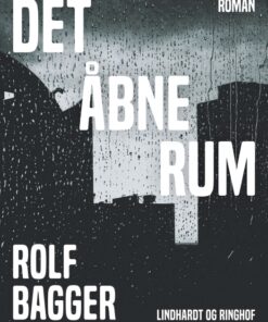 Det åbne rum (E-bog)