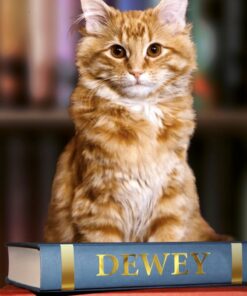 Dewey - Vicky Myron - Bog