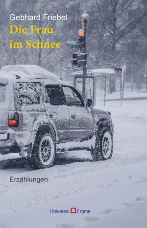 Die Frau im Schnee (E-bog)