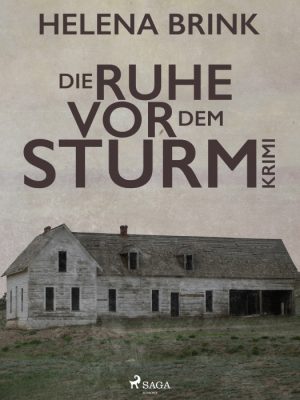 Die Ruhe vor dem Sturm (E-bog)