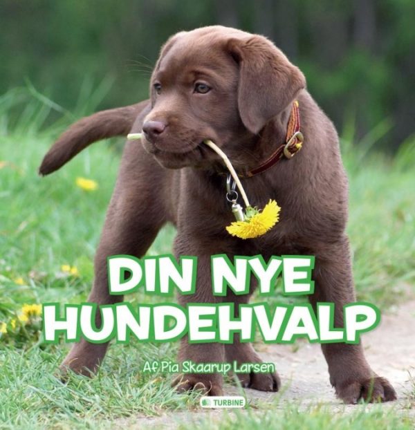 Din nye hundehvalp (Bog)