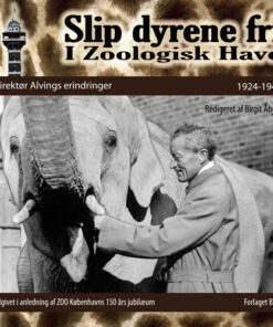 Direktør Alvings erindringer (E-bog)