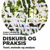 Diskurs og praksis (E-bog)