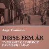 Disse fem år. Tværsnit og indsnit: Danmark 1940-45 (E-bog)