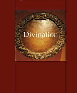 Divination - Jørgen Podemann Sørensen - Bog