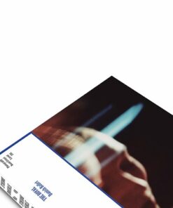 Double Vu - Noam Griegst - Bog