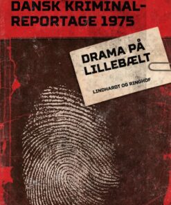 Drama på Lillebælt (E-bog)