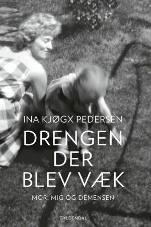 Drengen, der blev væk (E-bog)