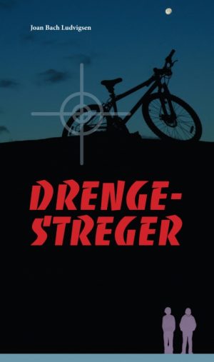 Drengestreger (E-bog)