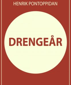 Drengeår (Bog)