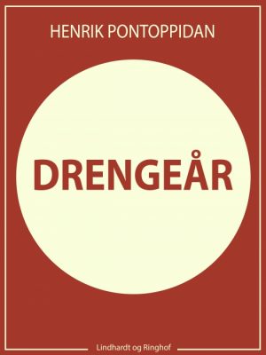 Drengeår (Bog)