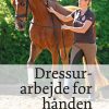 Dressurarbejde For Hånden - Karin Hess-müller - Bog