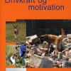 Drivkraft og motivation (Bog)