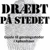 Dræbt på stedet (E-bog)