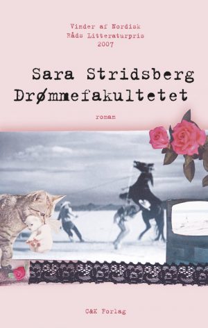 Drømmefakultetet - Sara Stridsberg - Bog