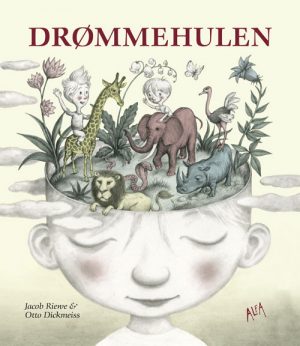 Drømmehulen (Bog)