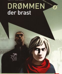 Drømmen der brast (E-bog)