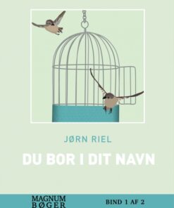 Du bor i dit navn (storskfrift) (Bog)